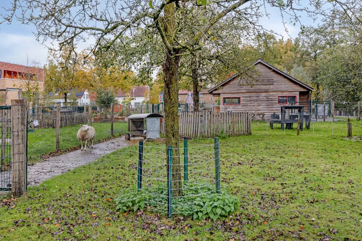 Foto 49 van Krooneend 14