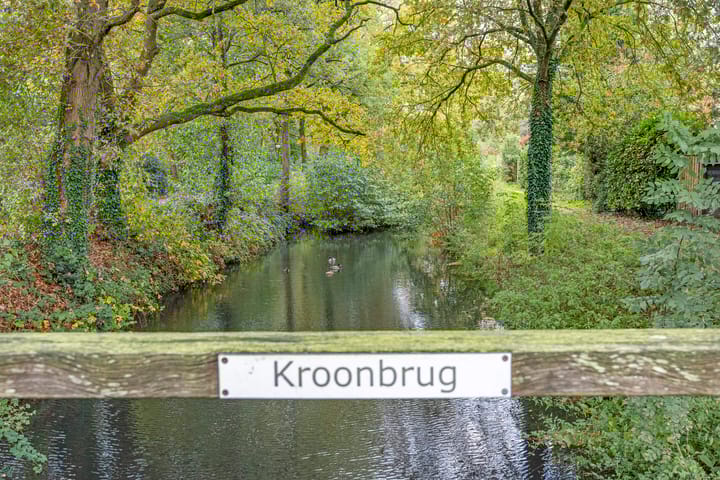 Foto 53 van Krooneend 14