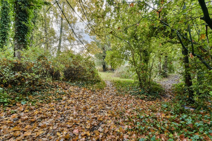 Foto 20 van Hermonlaan 32