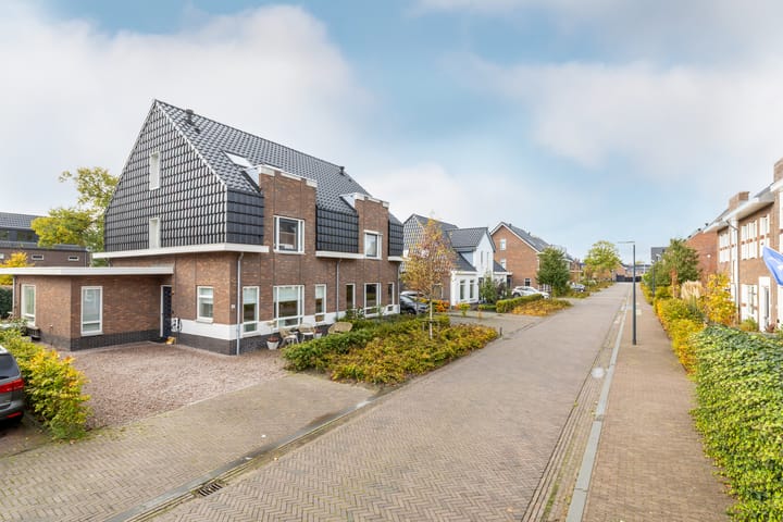 Foto 5 van Vlinderslag 21