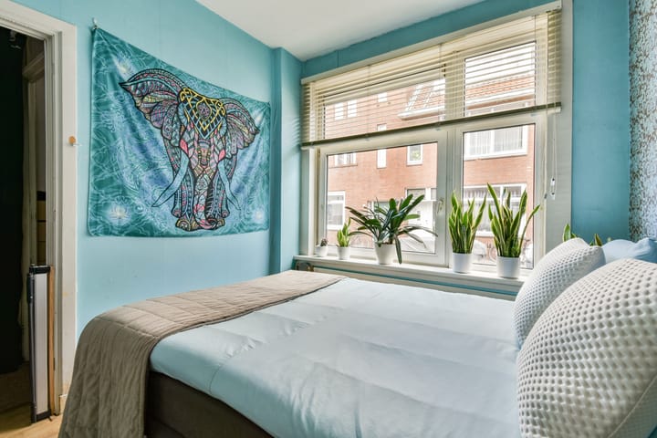 Foto 18 van Cartesiusstraat 33-A