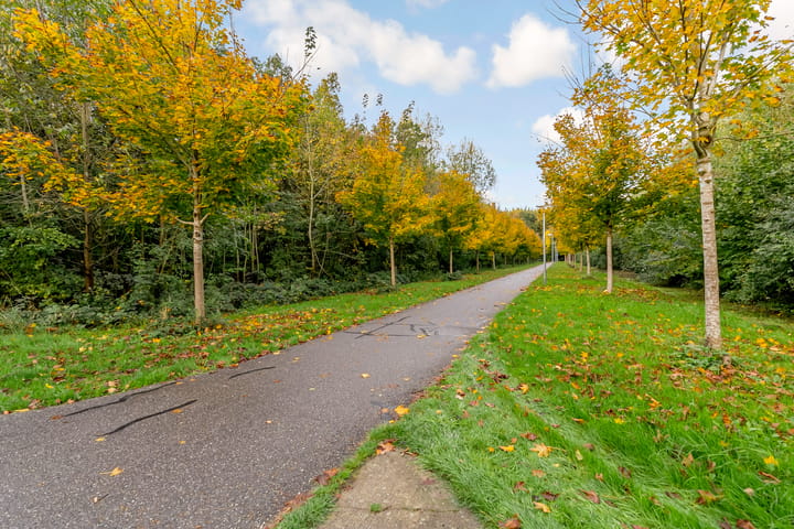 Photo 83 of Zaterdagstraat 7