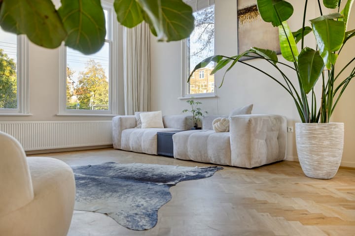 Foto 7 van Graaf Ottoplein 29