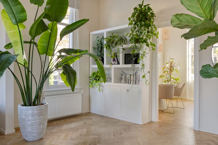 Foto 9 van Graaf Ottoplein 29