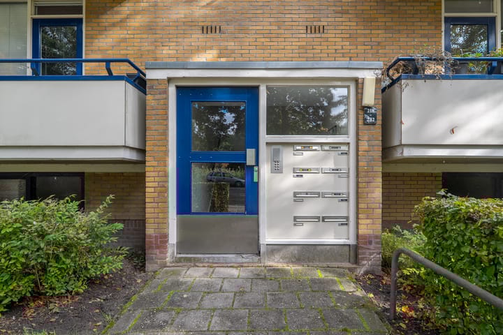 Foto 11 van Vondellaan 230