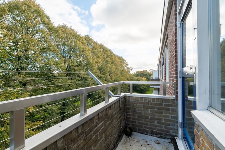 Foto 31 van Vondellaan 230