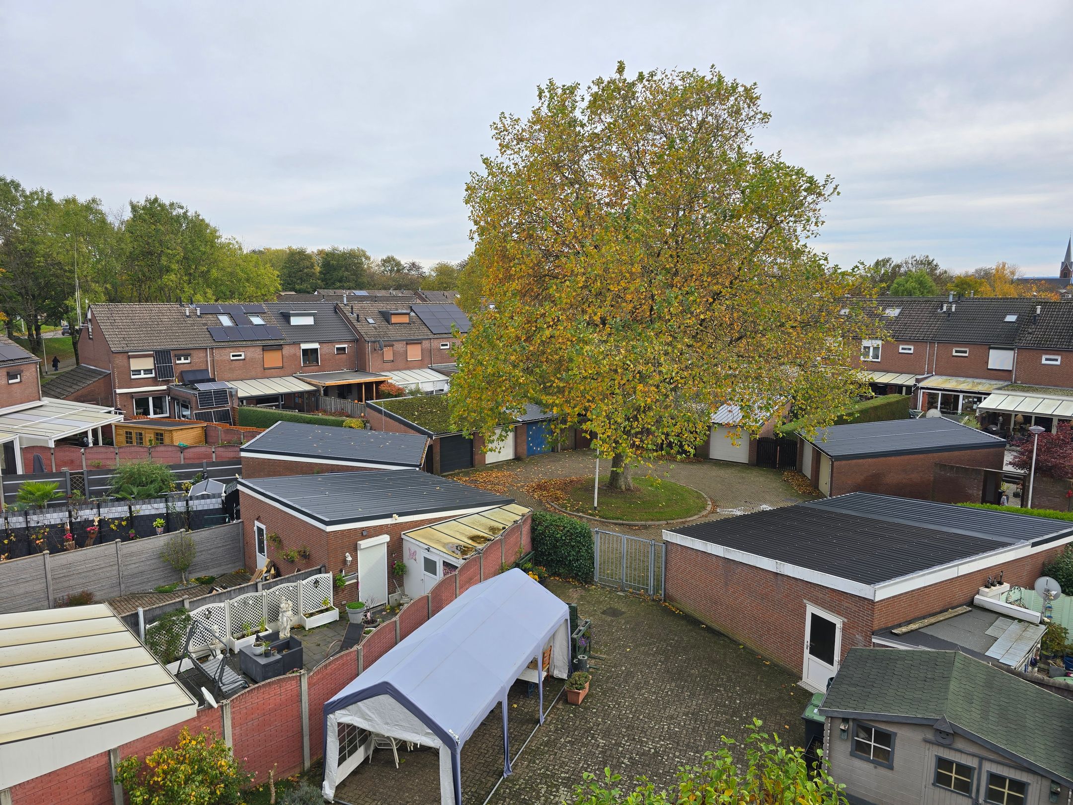 Foto 15 van Finefrau 21