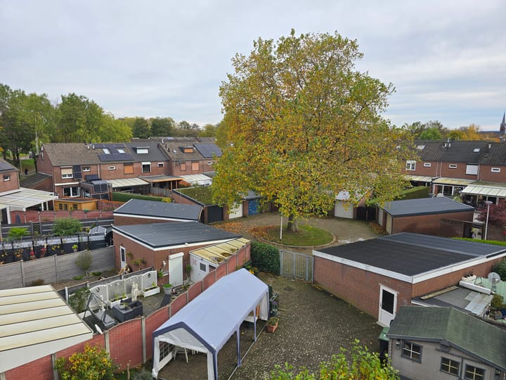 Foto 15 van Finefrau 21