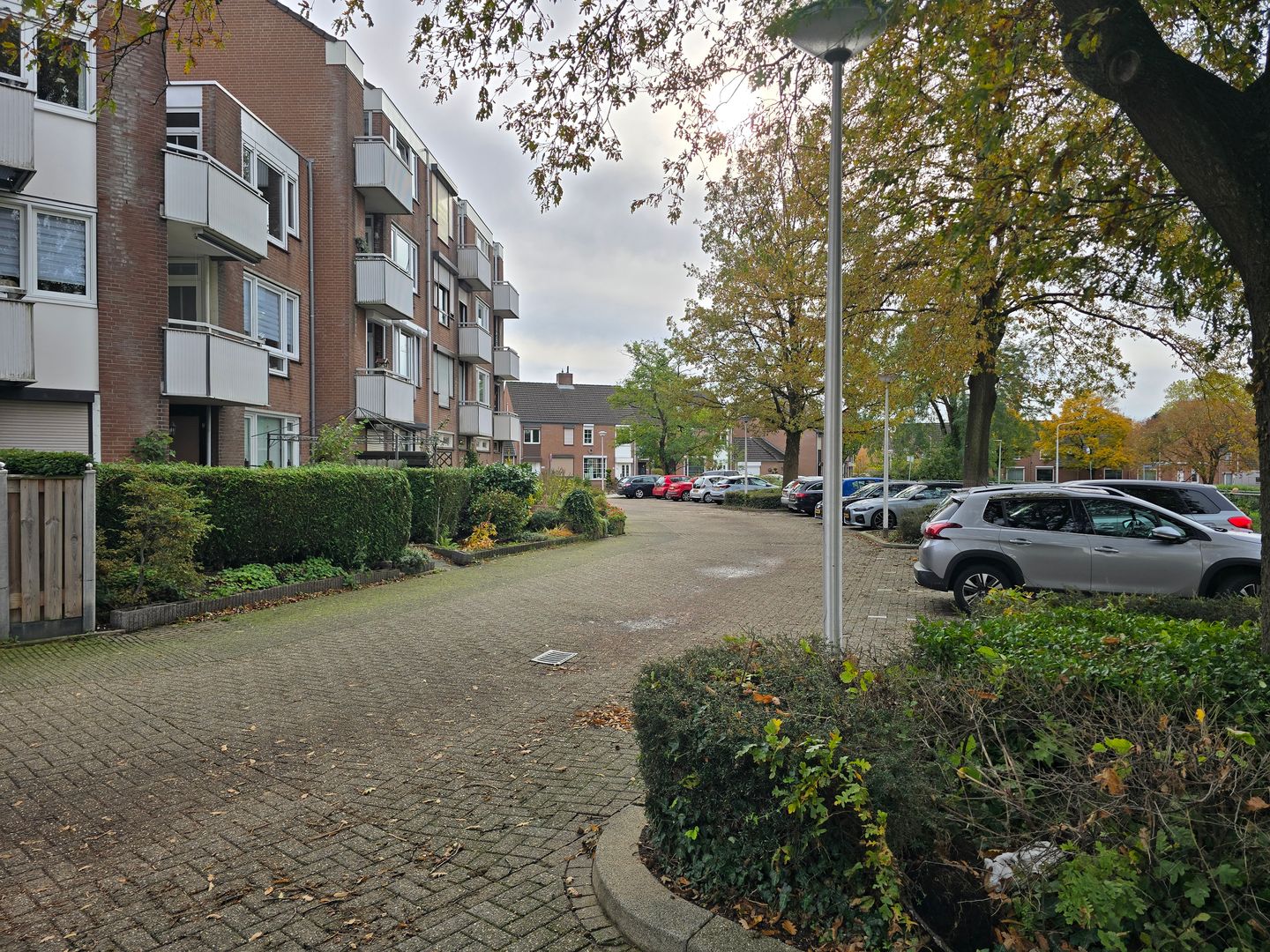 Foto 20 van Finefrau 21