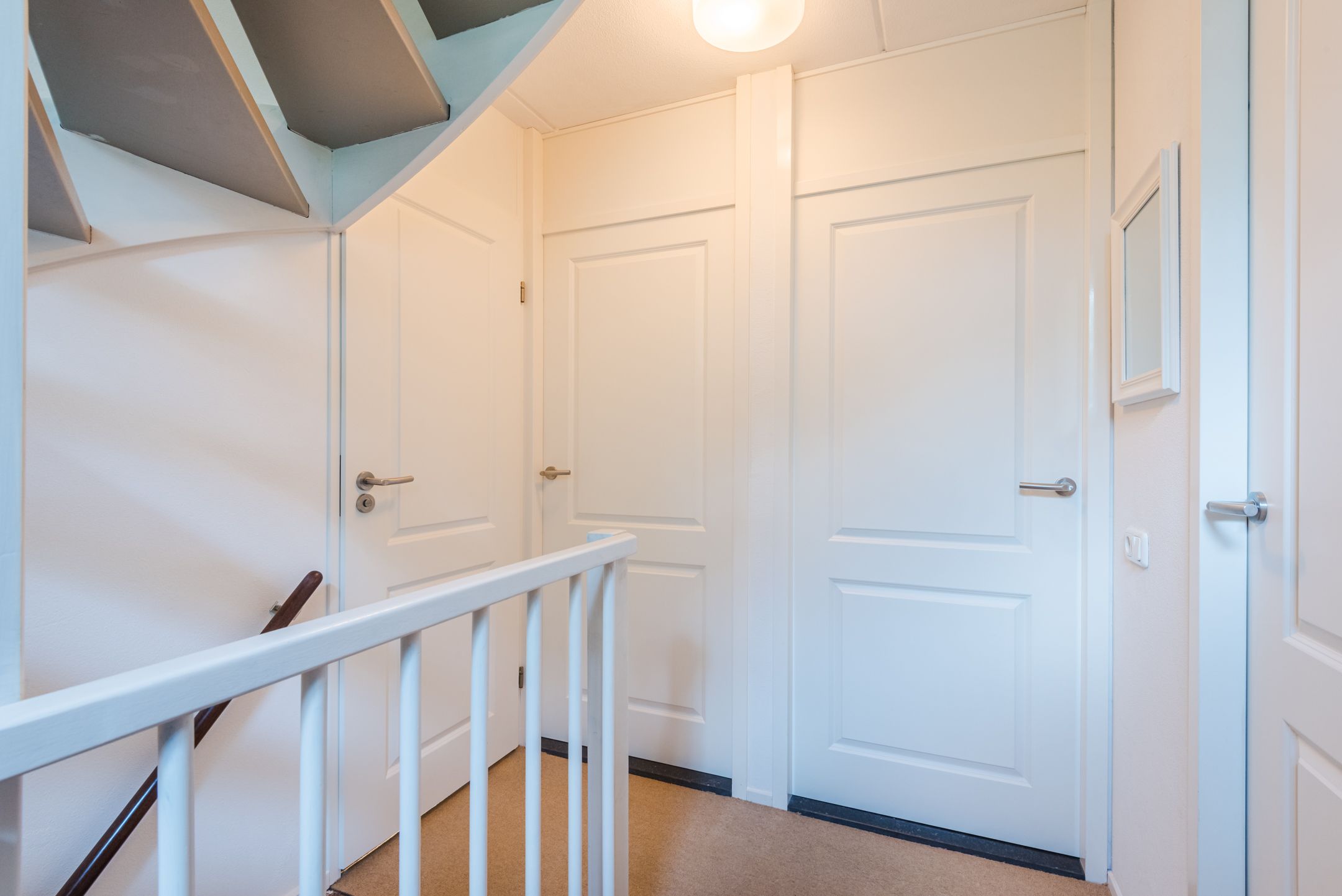 Foto 18 van Wildzoom 1