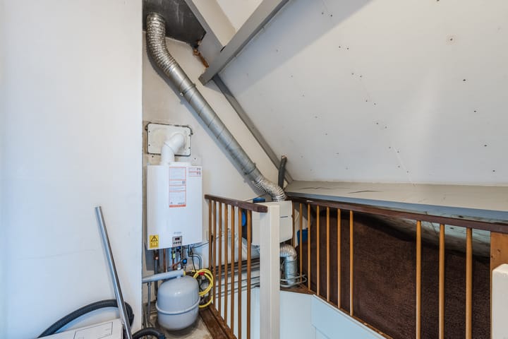 Foto 35 van Wildzoom 1