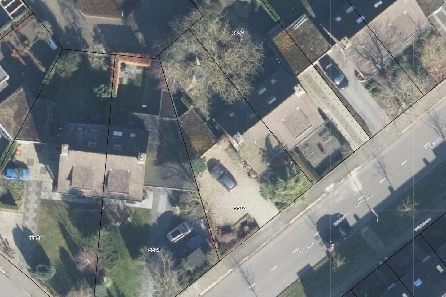 Foto 59 van Wildzoom 1