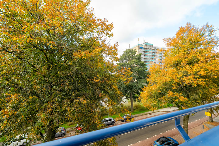 Foto 6 van Vondellaan 230