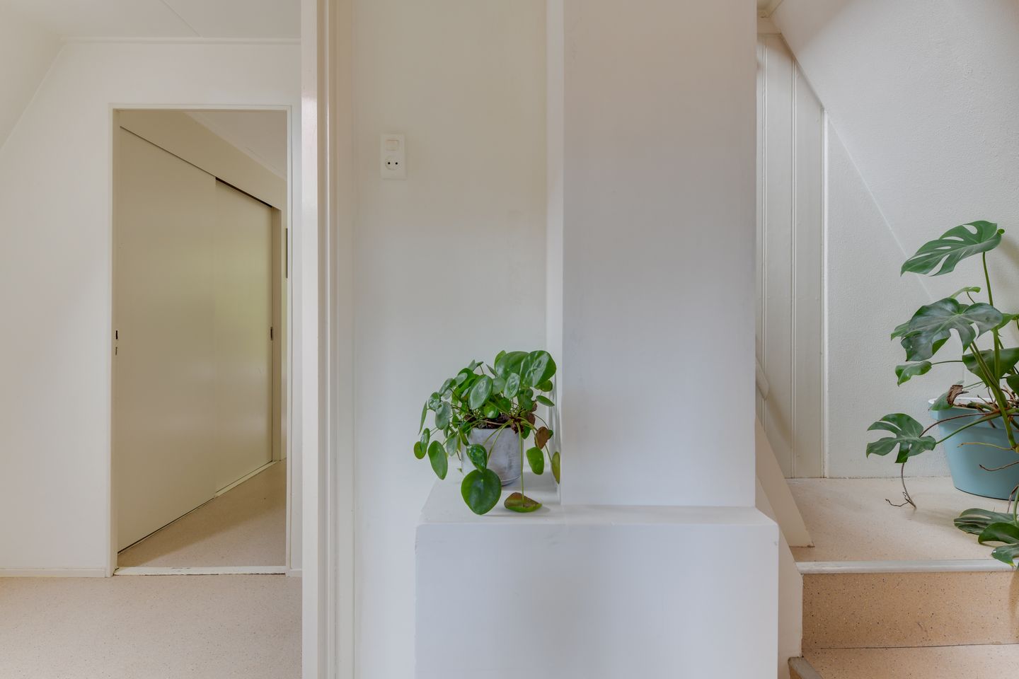 Photo 19 of Wilhelminalaan 19