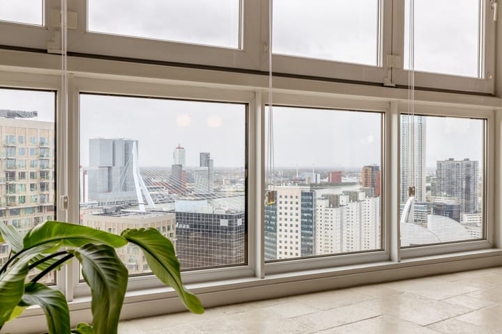 Photo 20 of Wijnbrugstraat 357