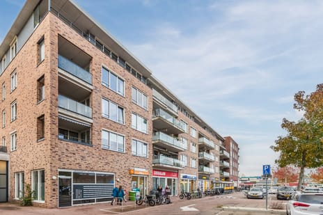 undefined main image