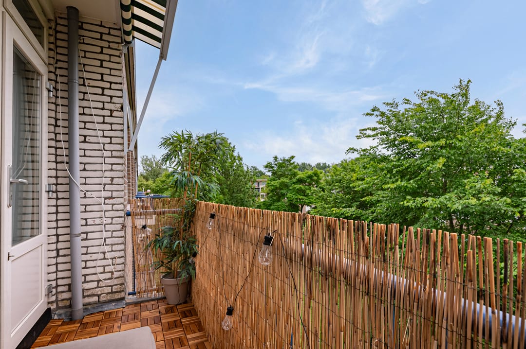 Photo 28 of Porcellishof 50