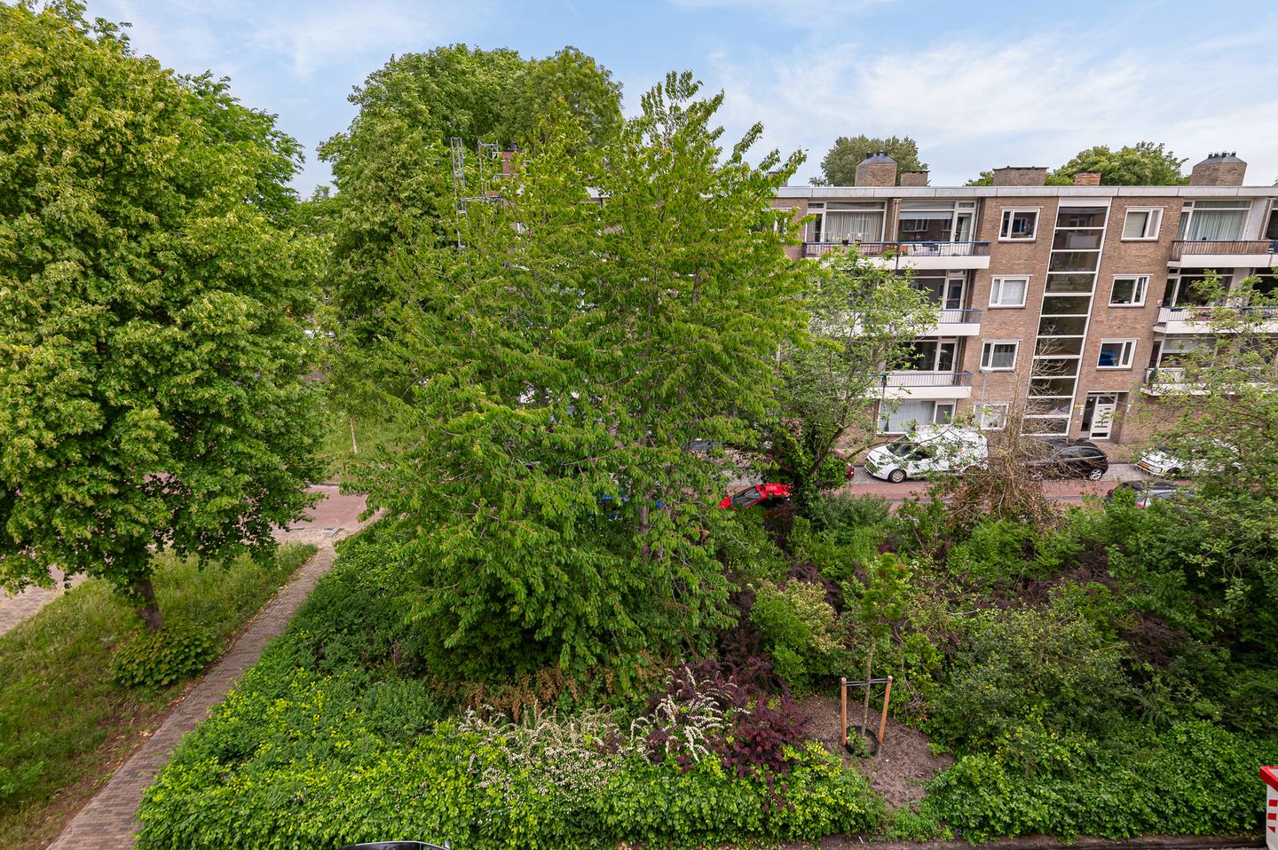 Photo 40 of Porcellishof 50