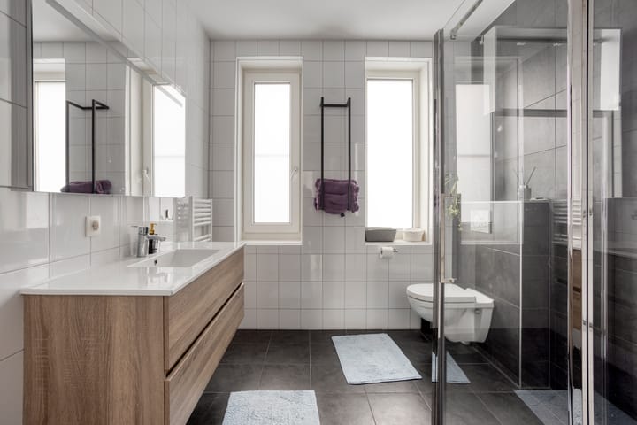 Foto 4 van Lemoenappel 8