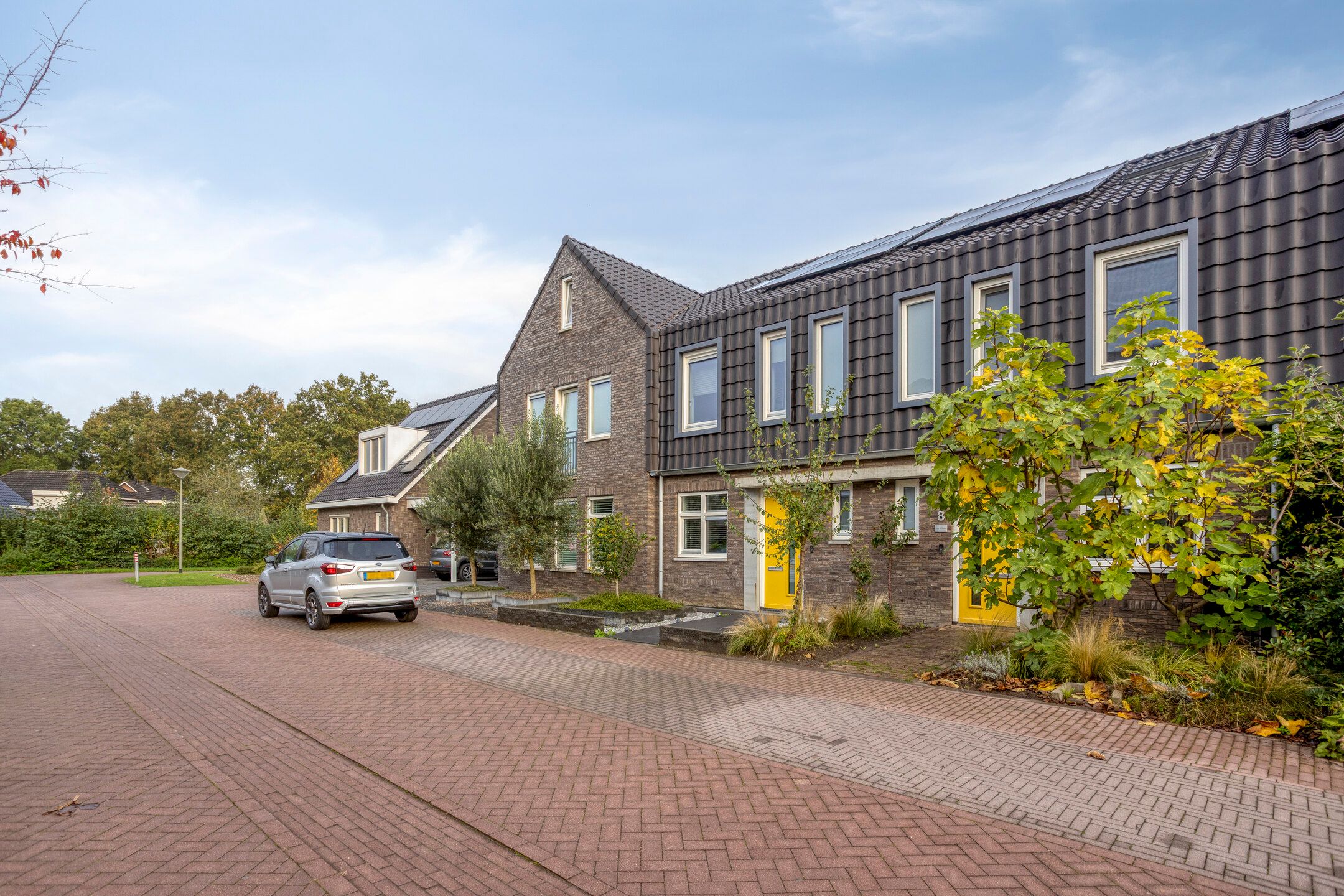 Foto 6 van Lemoenappel 8