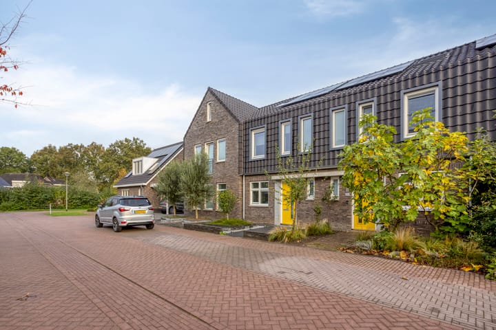 Foto 6 van Lemoenappel 8