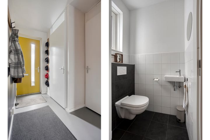 Foto 7 van Lemoenappel 8