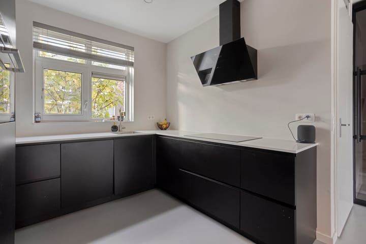 Foto 11 van Lemoenappel 8