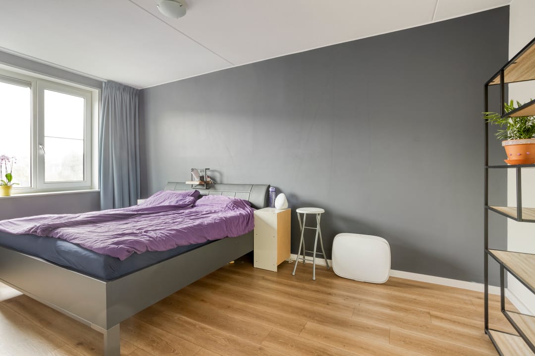 Foto 17 van Lemoenappel 8