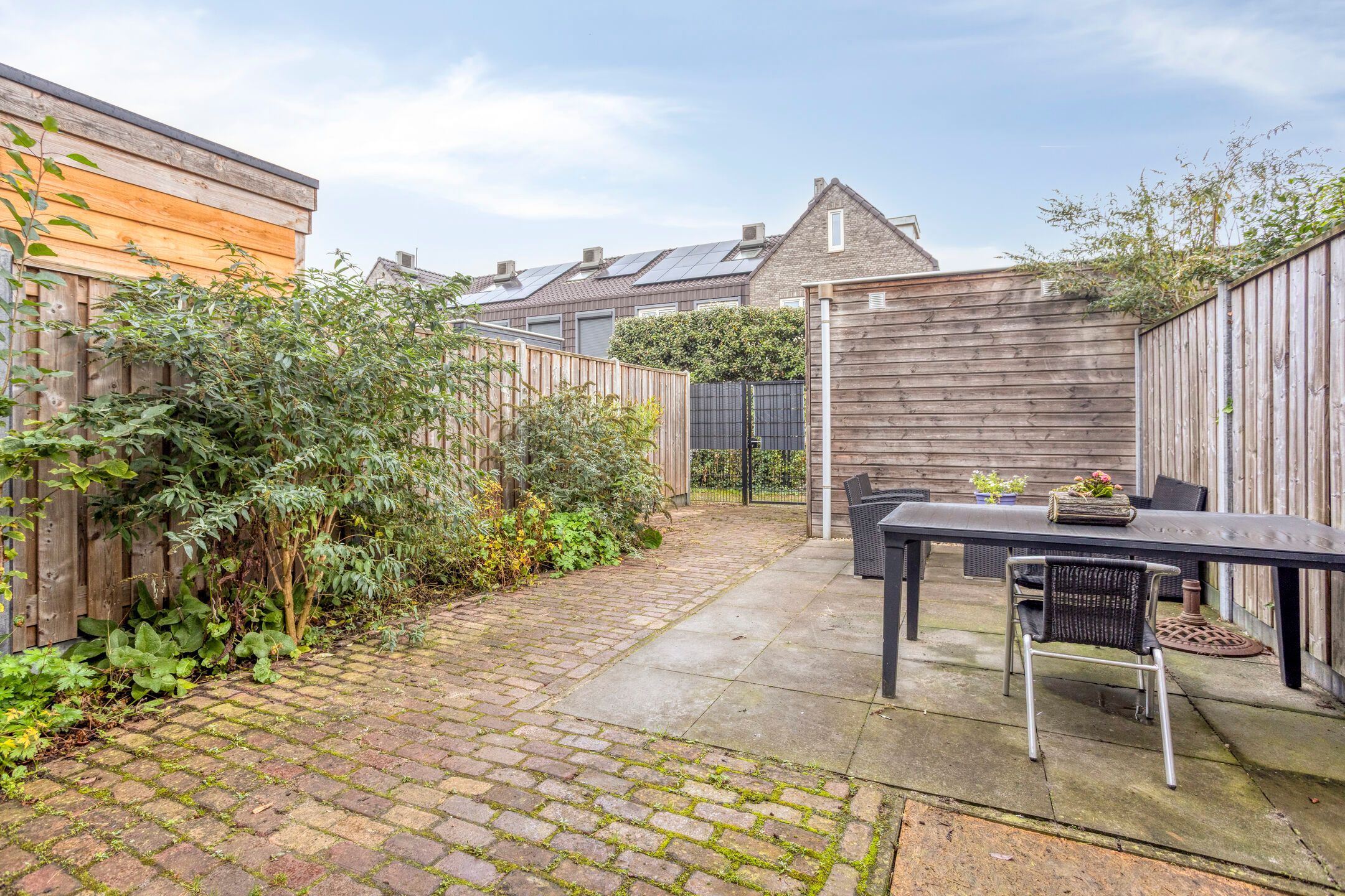 Foto 27 van Lemoenappel 8