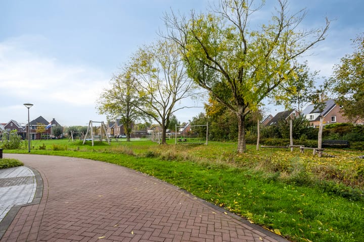 Foto 33 van Lemoenappel 8