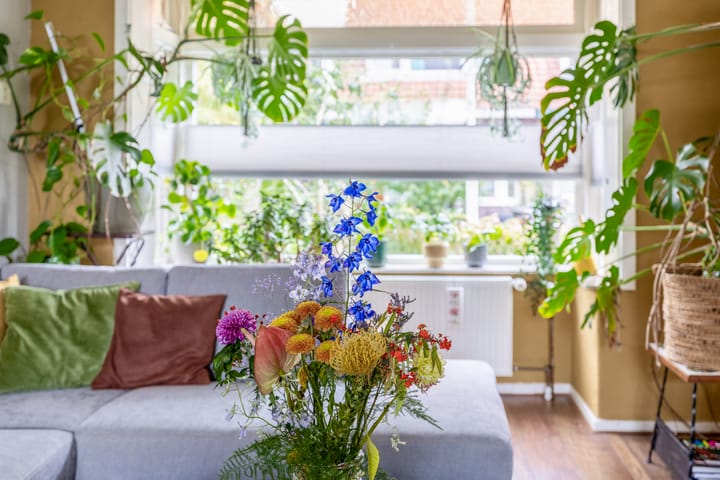 Photo 12 of Seramstraat 13