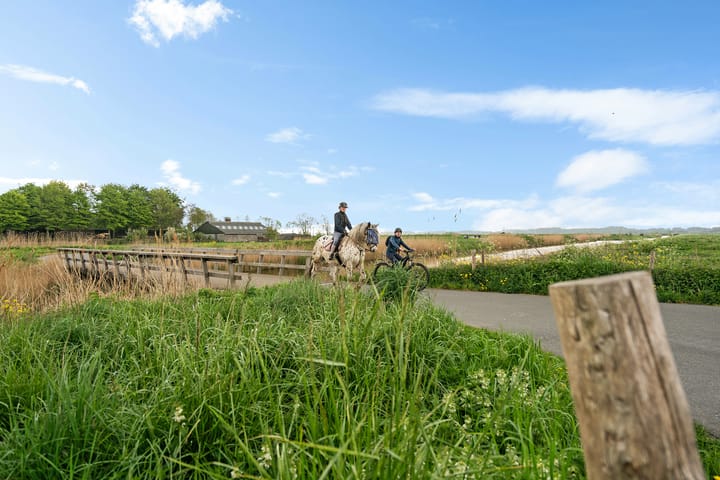 Foto 43 van Stekelbaarssingel 19