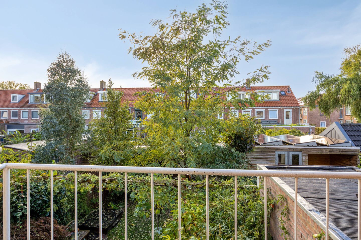 Foto 20 van Johan de Wittstraat 13