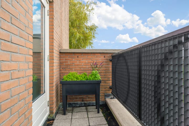 Foto 24 van Witmos 2