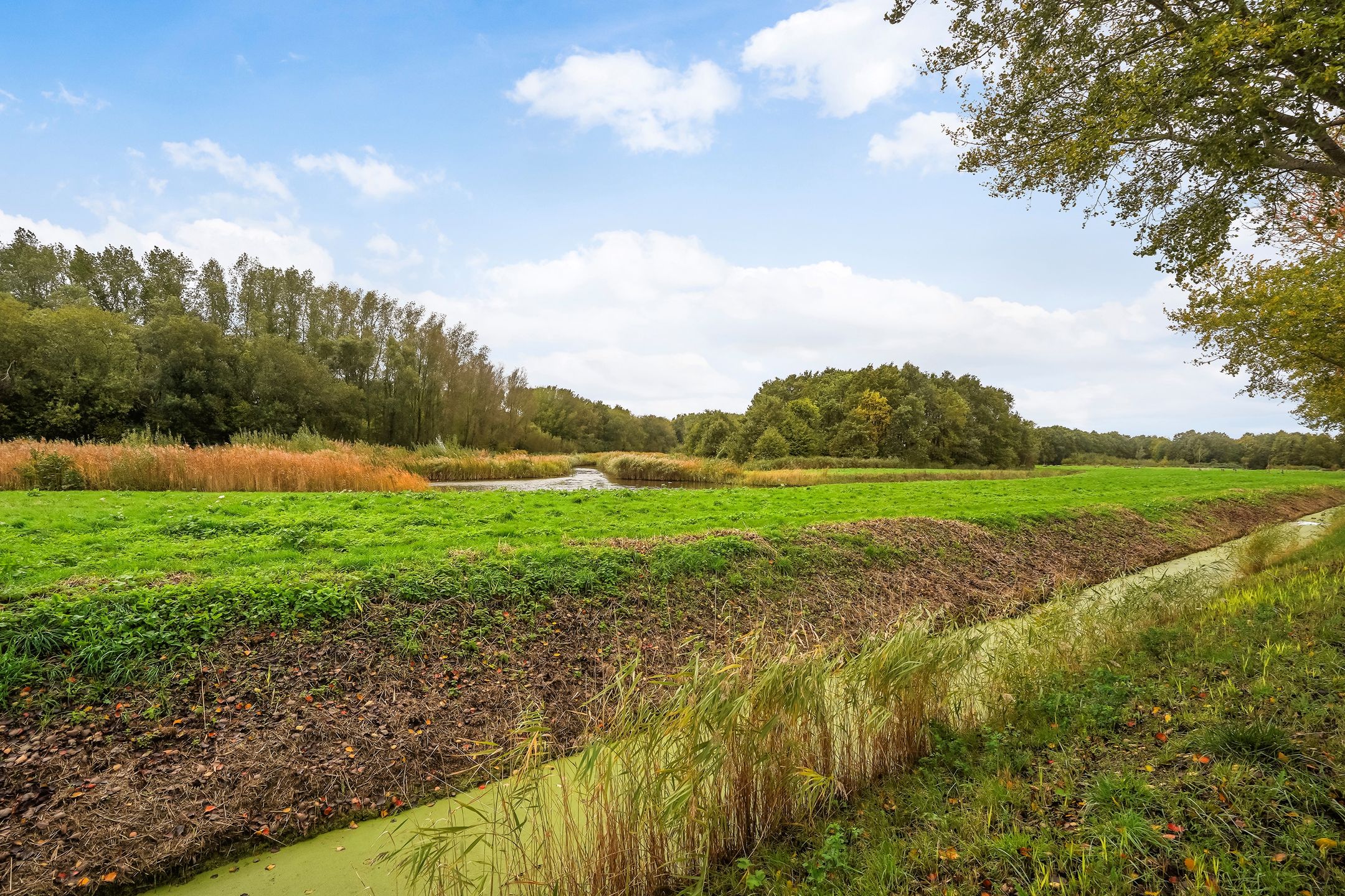 Foto 36 van Buizerdlaan 127