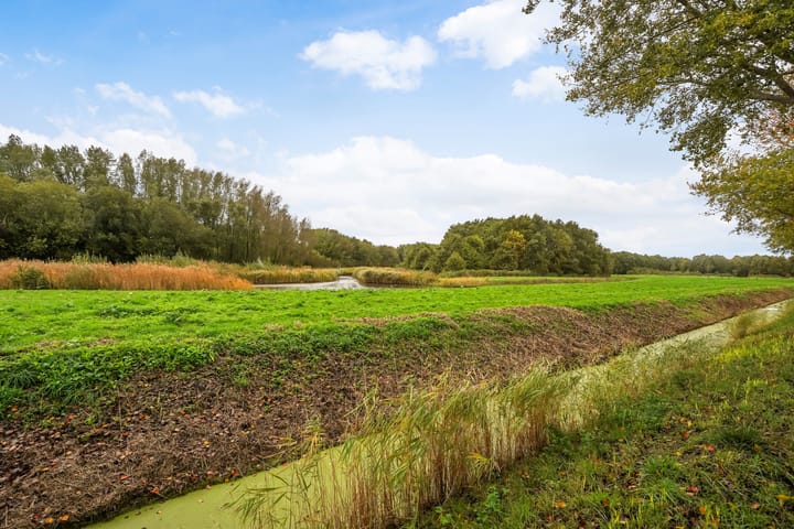 Foto 36 van Buizerdlaan 127