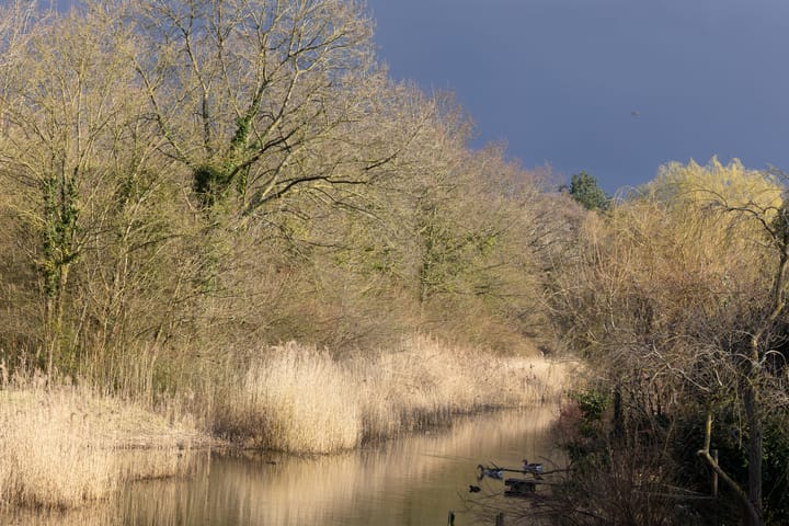 Foto 36 van Kruitmolenlaan 9