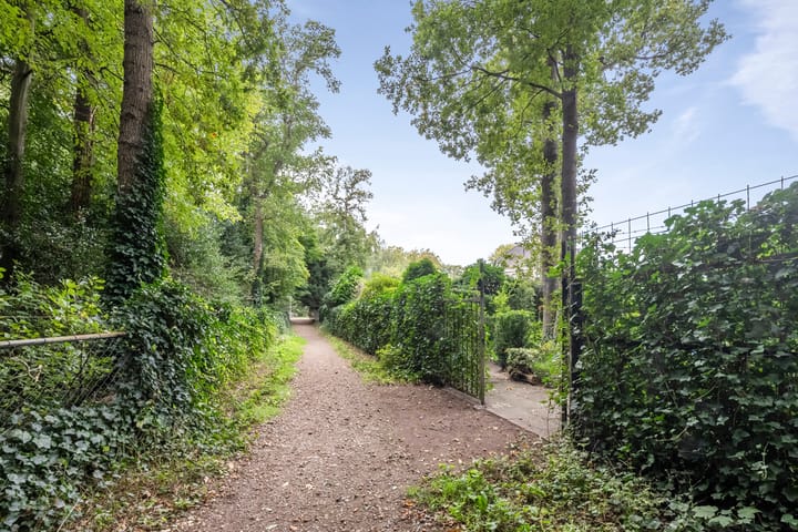 Photo 47 of Brederodelaan 51-A