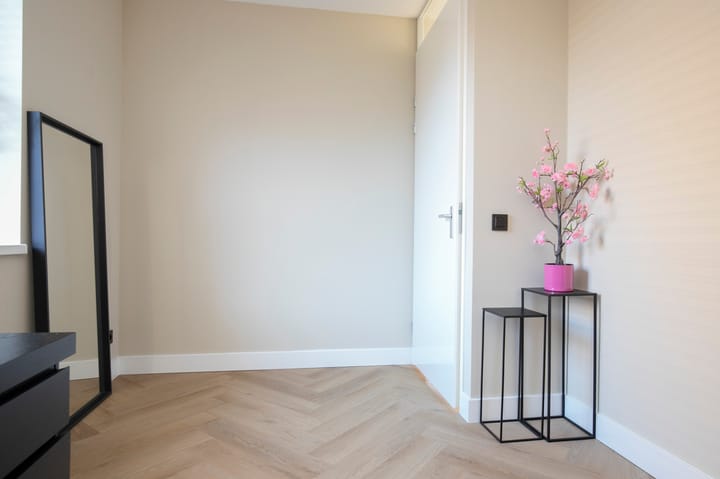 Photo 42 of Rietkamer 8