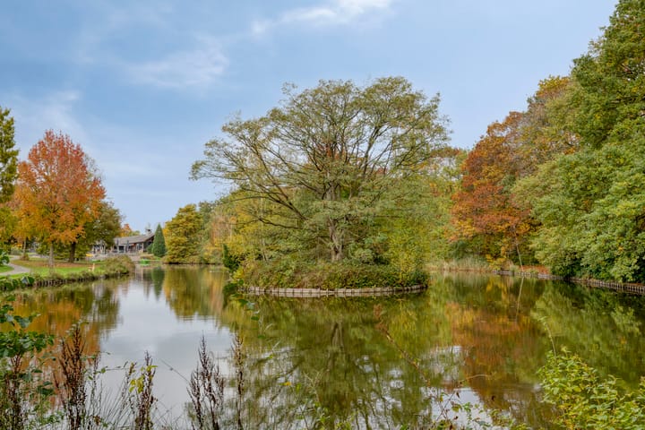 Foto 47 van Oranje-Nassaulaan 207