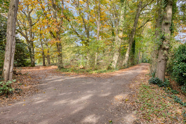 Foto 44 van Oranje-Nassaulaan 207