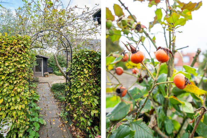 Foto 45 van Beatrixlaan 34