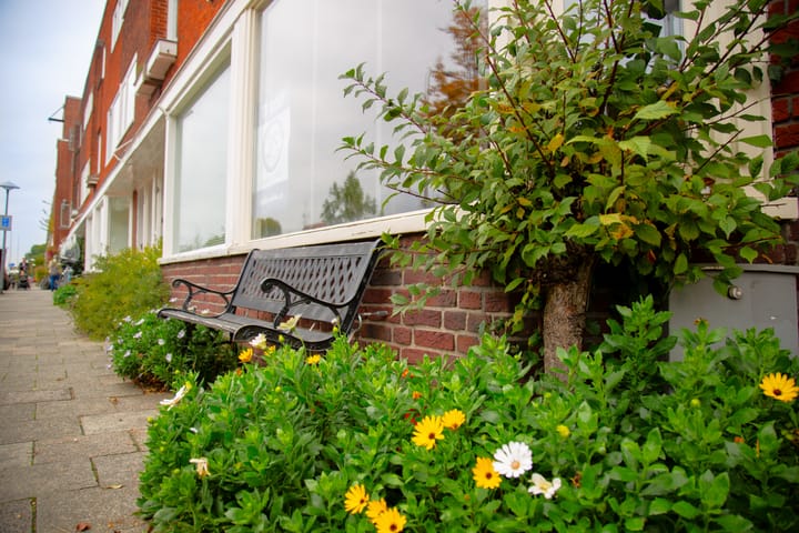 Foto 3 van Balijelaan 51