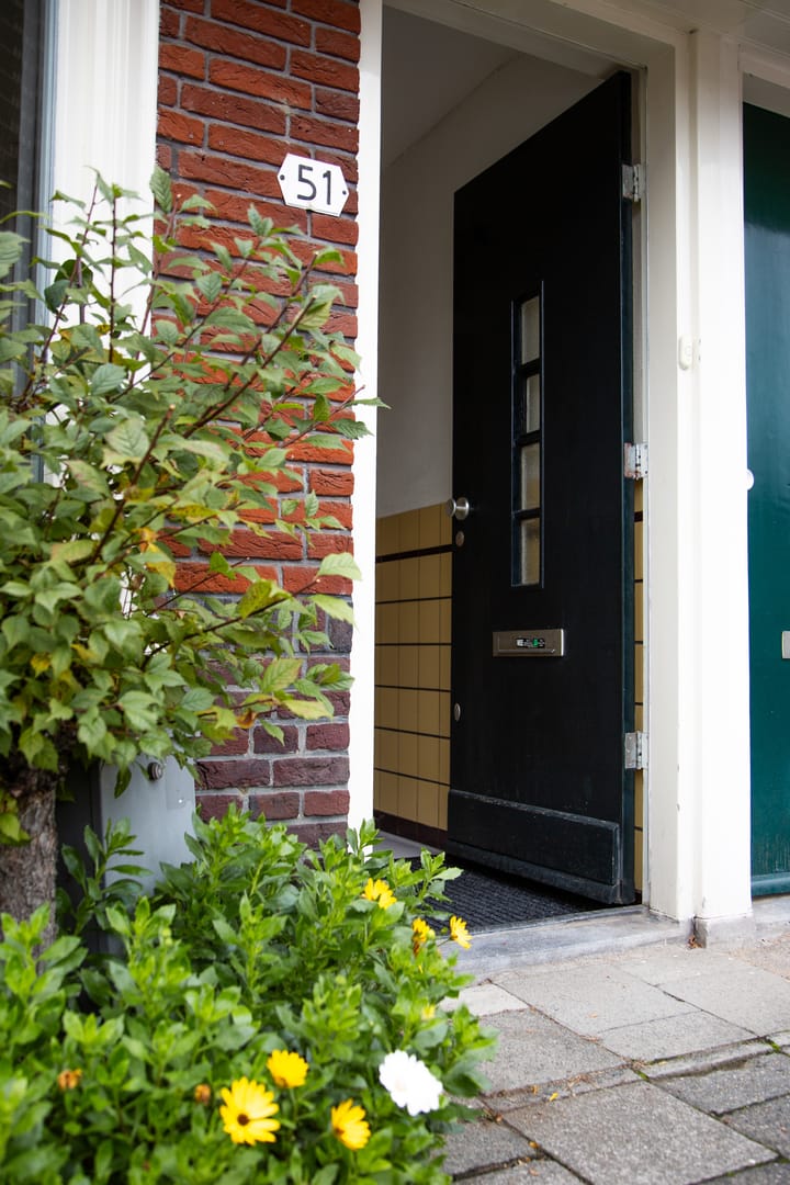 Foto 4 van Balijelaan 51