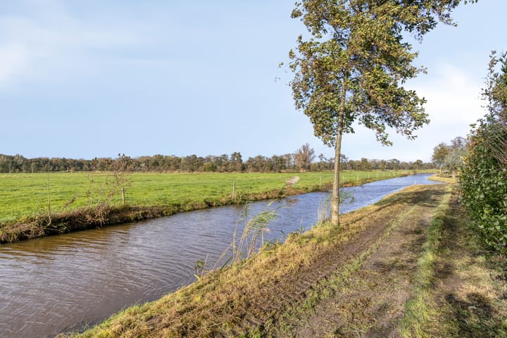 Foto 3 van Eelderdiep 6