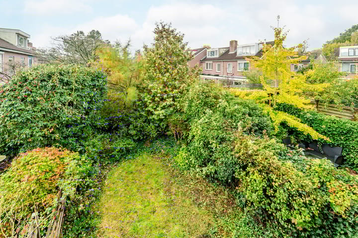 Photo 34 of Turfschip 252