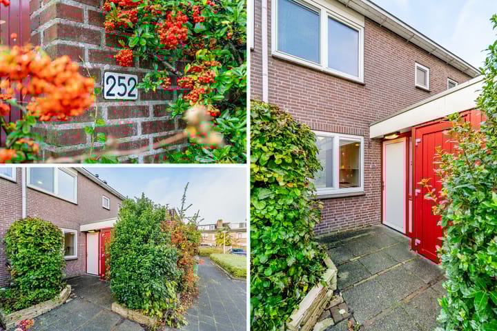 Photo 35 of Turfschip 252