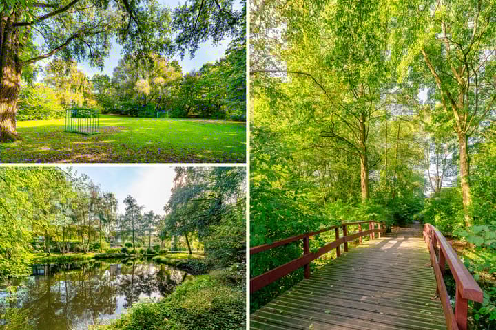 Photo 40 of Turfschip 252