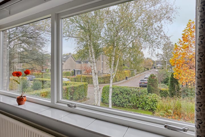 Foto 41 van Zwaluwstraat 27