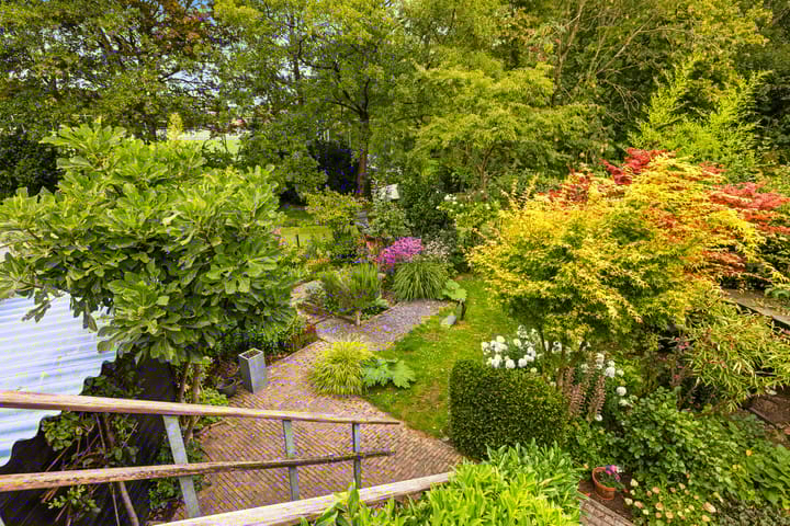 Foto 22 van Buiksloterdijk 296